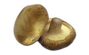 Portobello mushrooms