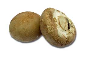 Swiss brown mushrooms