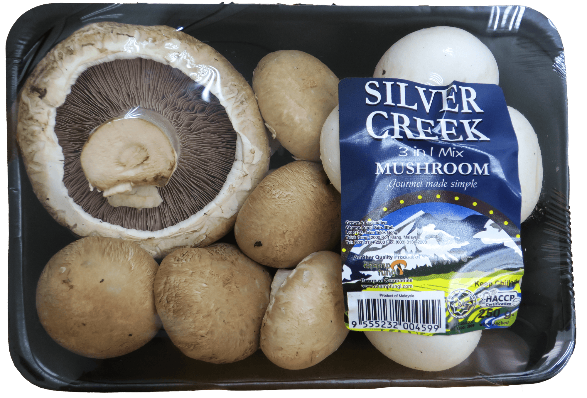 3-in-1 Silver Creek Mushroom